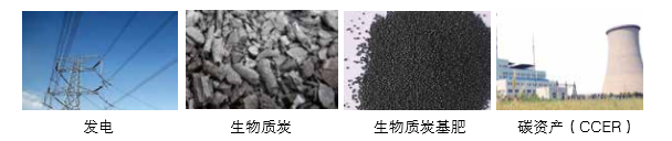 仟億達可提供氣化發電系統 成套設備的整體方案以及碳資產開發服務 仟億達可提供氣化發電系統 成套設備的整體方案以及碳資產開發服務