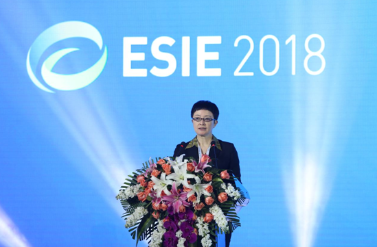 國(guó)能源局副司長(zhǎng)劉亞芳致辭 國(guó)能源局副司長(zhǎng)劉亞芳致辭